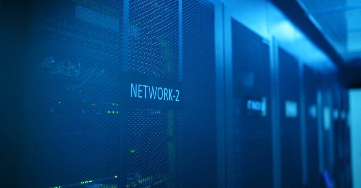 Współdzielony hosting dla Twojego bloga: tani start, szybki rozwój