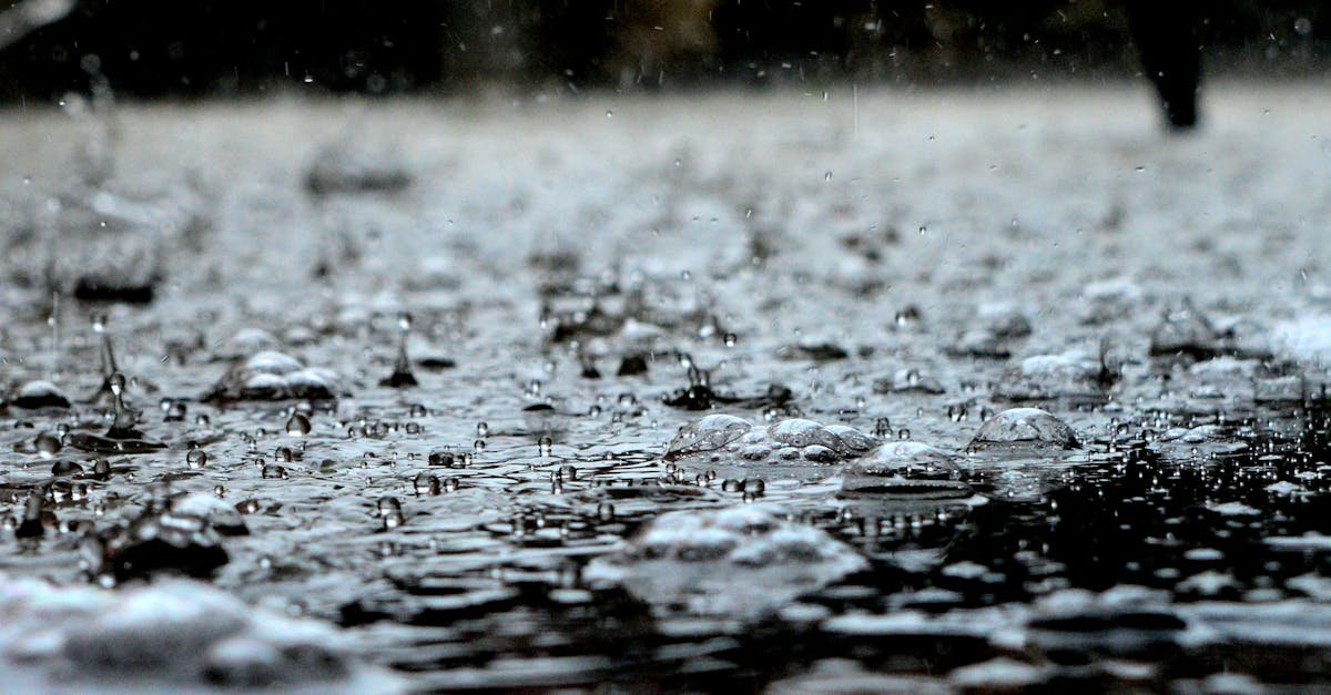 Schowaj deszcz pod ziemią: podziemny zbiornik na deszczówkę, który nawadnia ogród i obniża rachunki